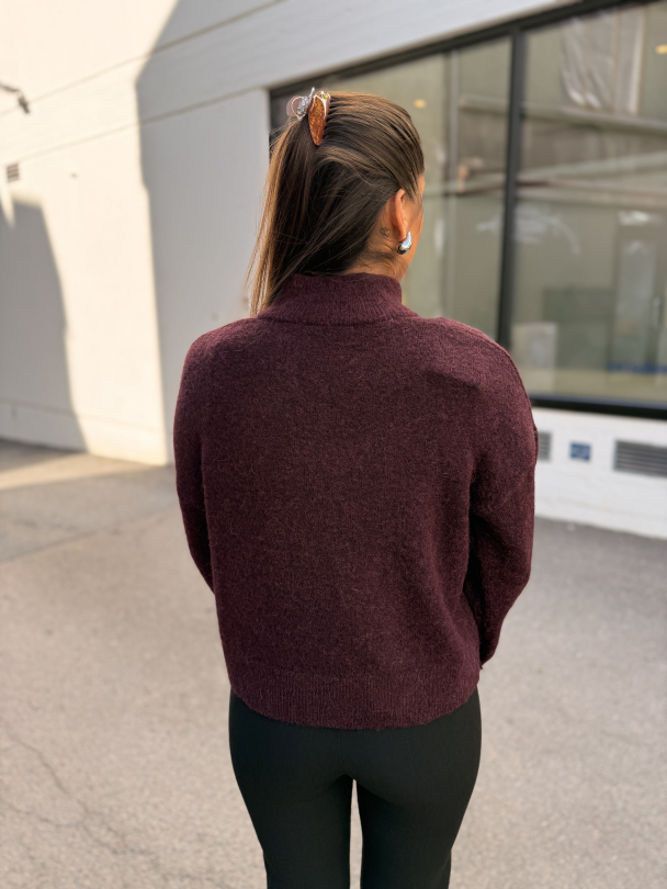 Sia Ras Zipper Cardigan - Fig  - Image 6