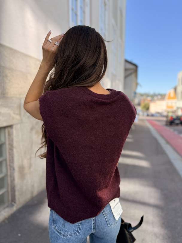 Lulu Knit Vest - Fig/Black Core  - Image 4
