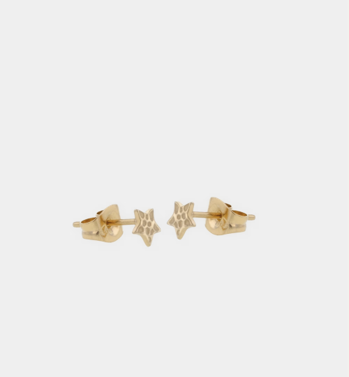 THE TINY STAR GOLD