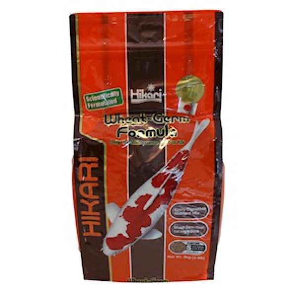 Hikari Wheat-Germ Small 2kg (Vinter fòr) 