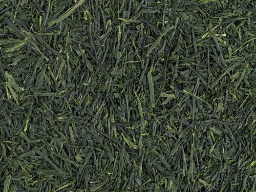 Shincha Saemidori økologisk