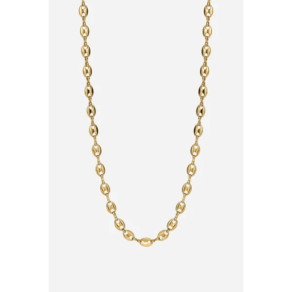 THE MARINE CHAIN