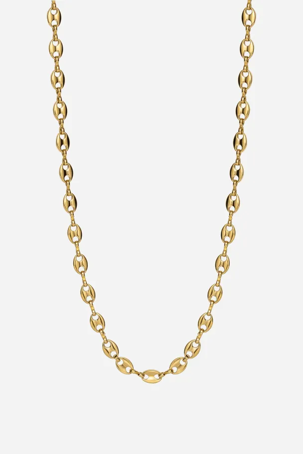 THE MARINE CHAIN - Image 1