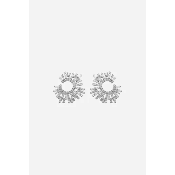 THE SHIMMERING EARRING