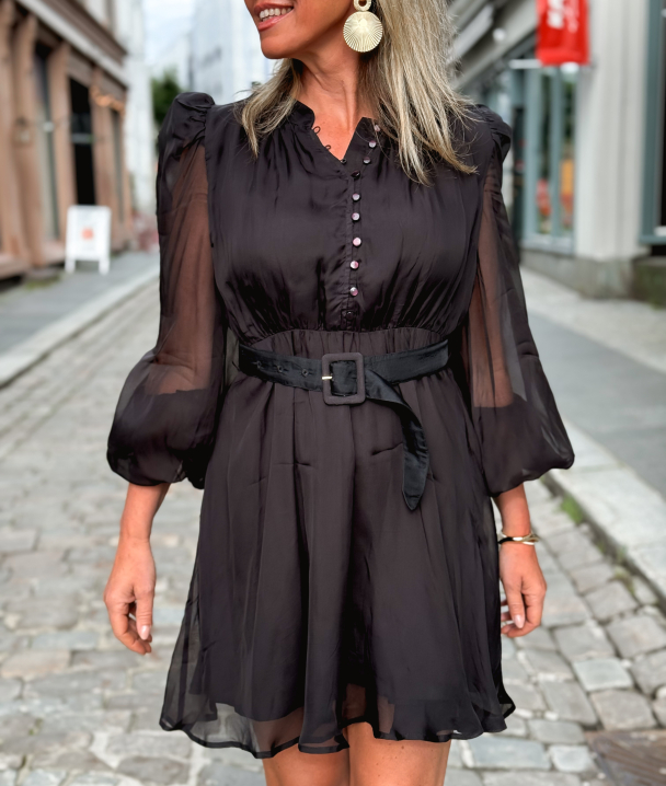 Organza Mini Dress - Black - Image 1