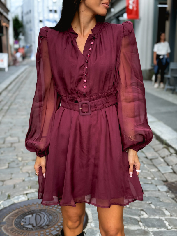 Organza Mini Dress - Burgundy - Image 1