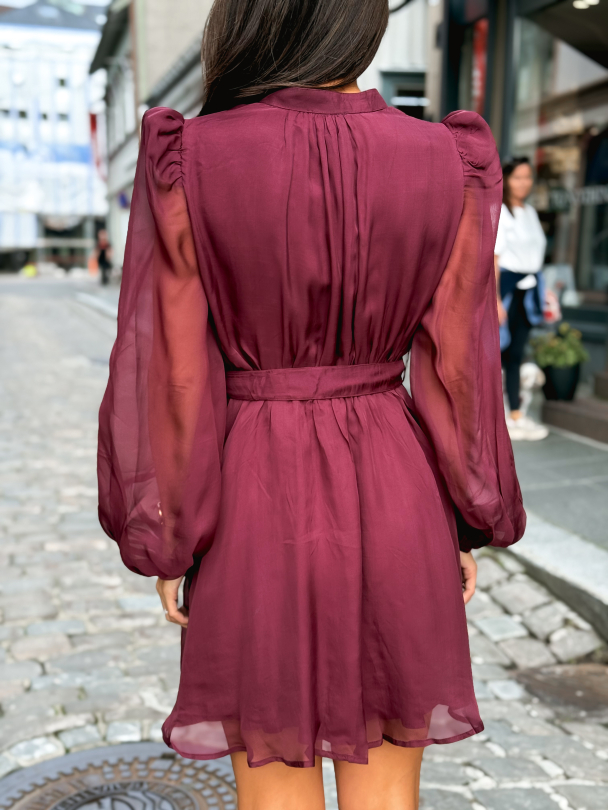 Organza Mini Dress - Burgundy - Image 4