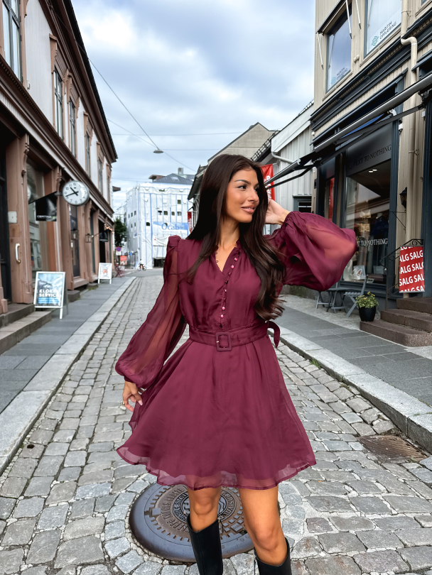 Organza Mini Dress - Burgundy - Image 6