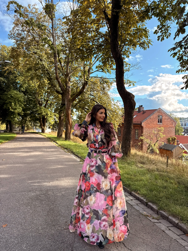 Organza Belt Dress -  Winter Breeze  - Image 4