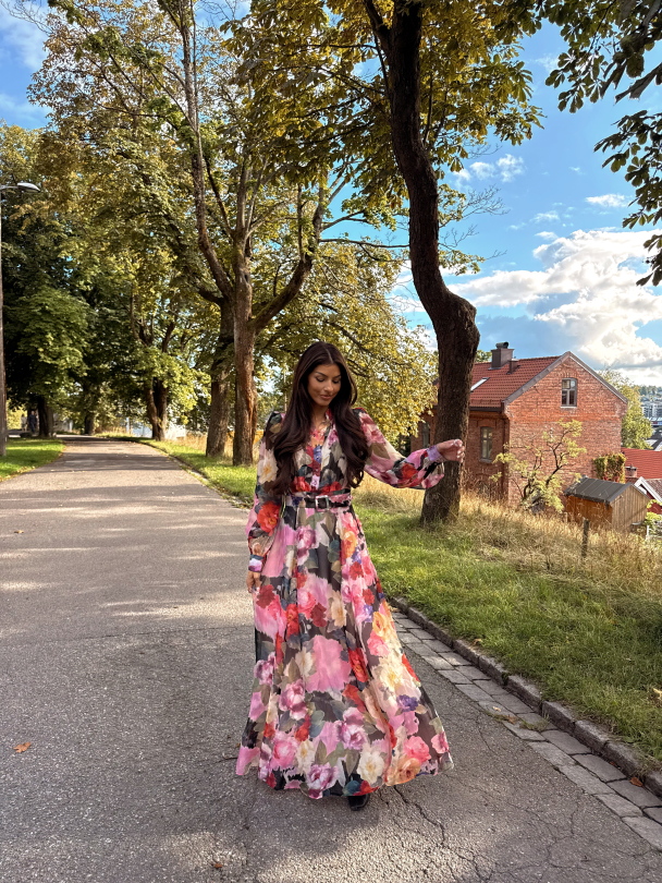 Organza Belt Dress -  Winter Breeze  - Image 6