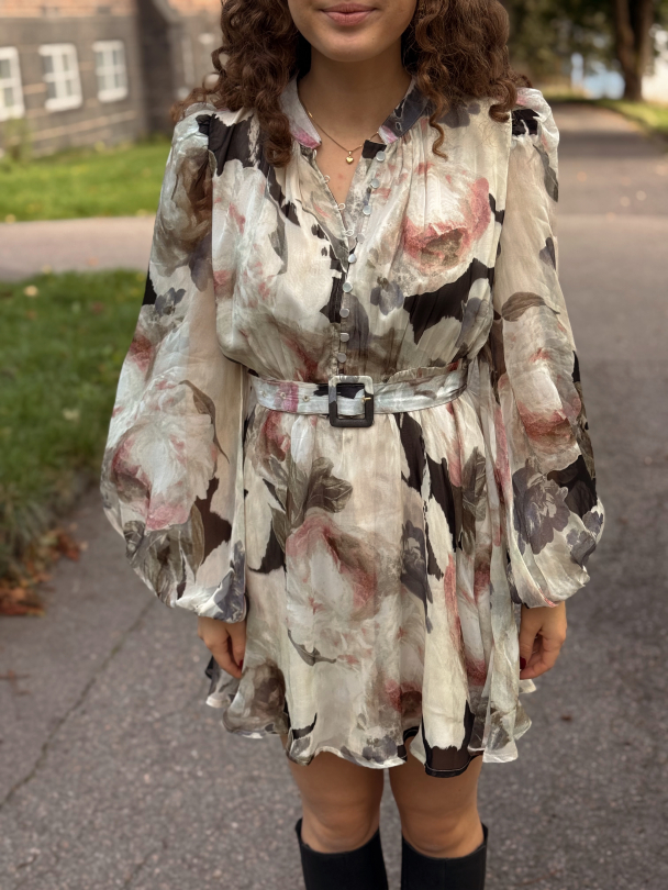 Organza Mini Dress - Fluid - Image 1