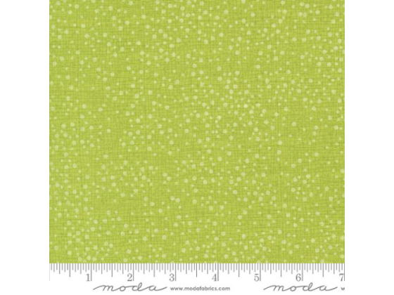 48715 214    Dotty Thatched Lime 0.5m