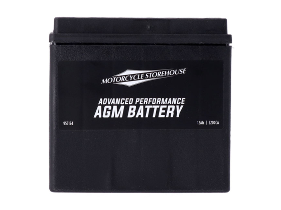  AGM sealed battery. 12v, 12ah, 220cca