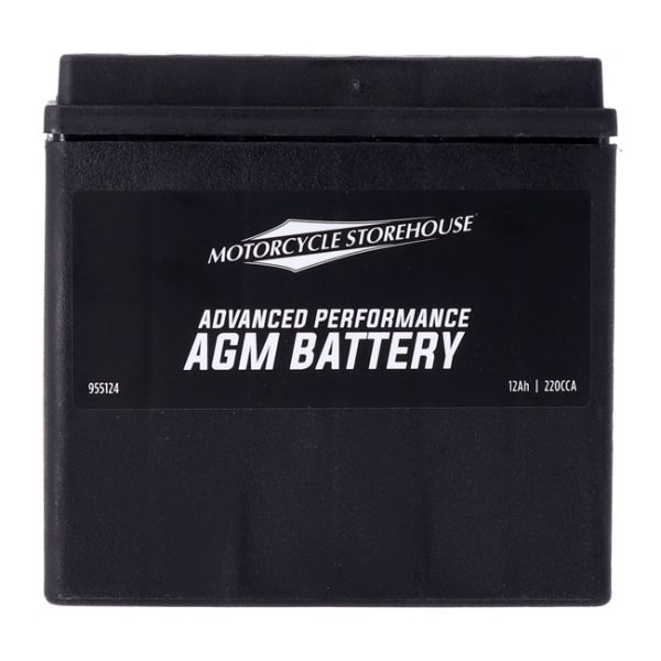  AGM sealed battery. 12v, 12ah, 220cca