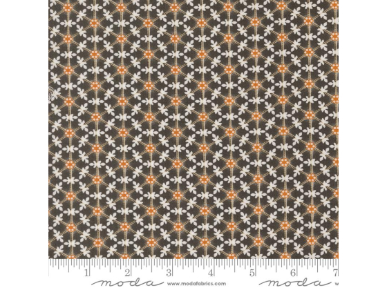 204 Agatha Road Midnight 