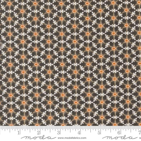 204 Agatha Road Midnight 