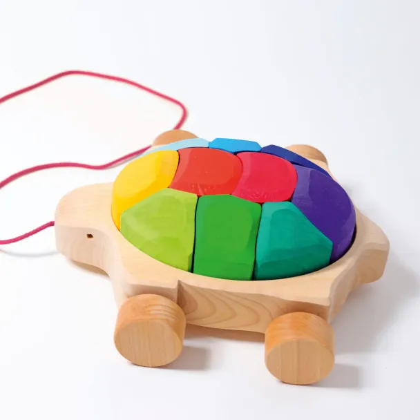 Rainbow Turtle - Image 4