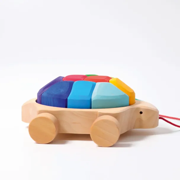 Rainbow Turtle - Image 1