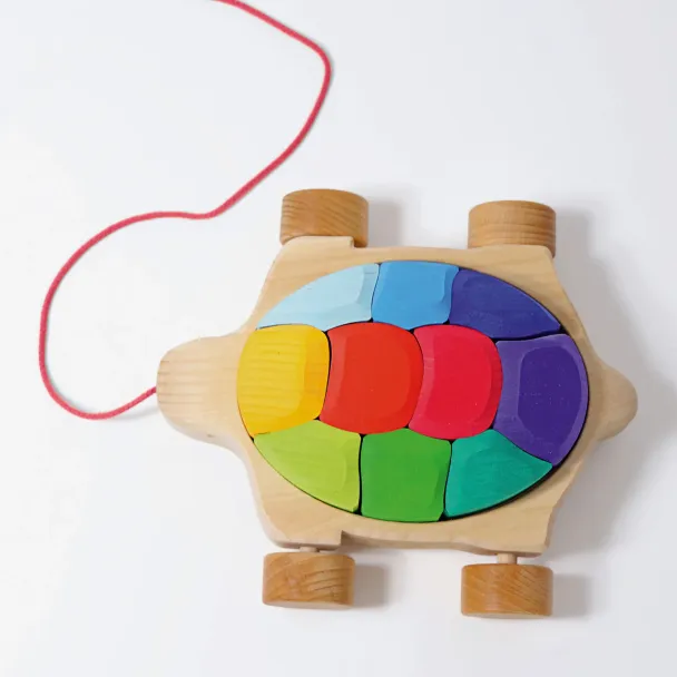 Rainbow Turtle - Image 6