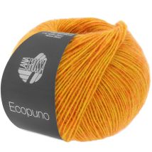 Ecopuno