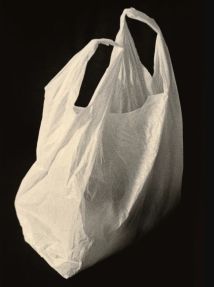 Plastic bag.jpg