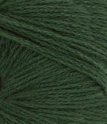 11648082_Forest-green_300dpi_Close-up.jpg