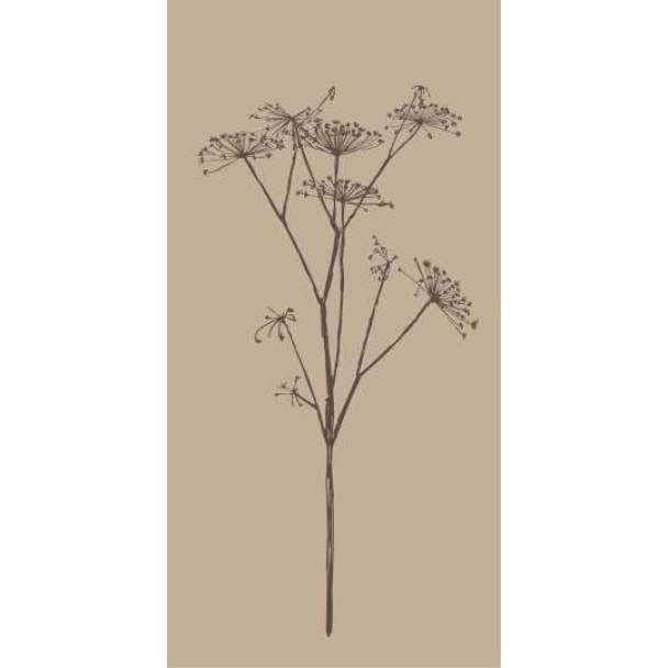 Servietter beige med brun skjermblomst 16 stk per pakke