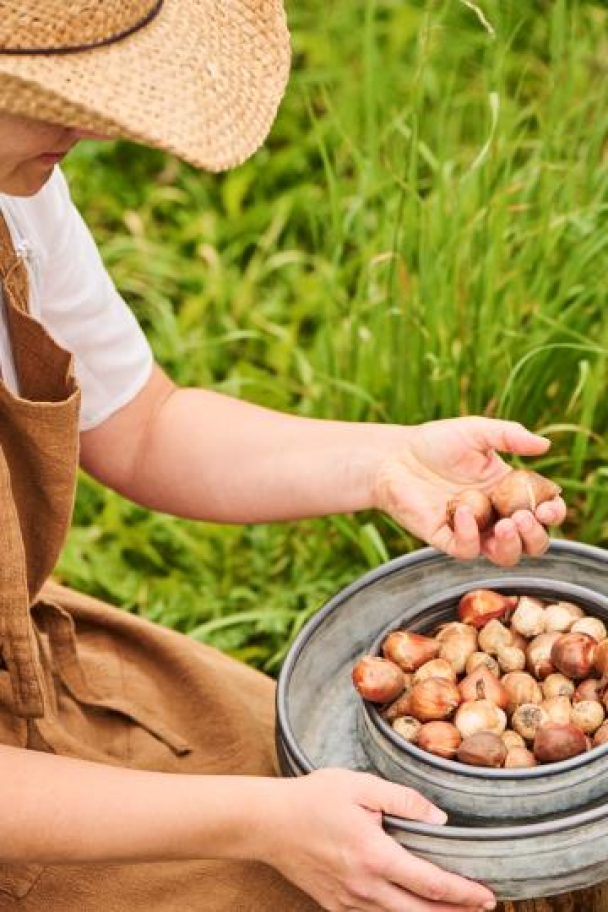 Plante skål i sink urban garden liten 