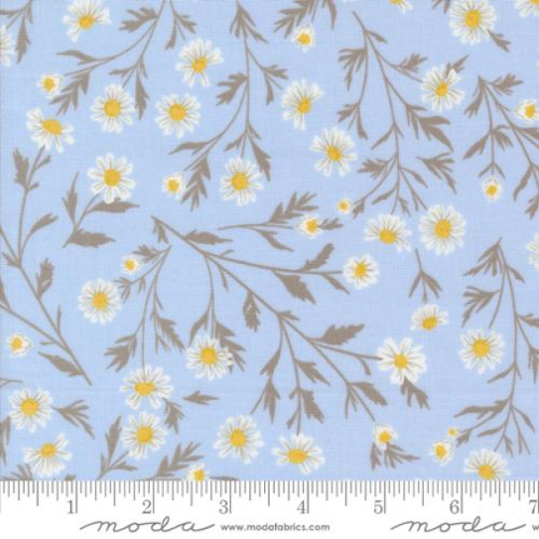 Sun Drenched- stone blå