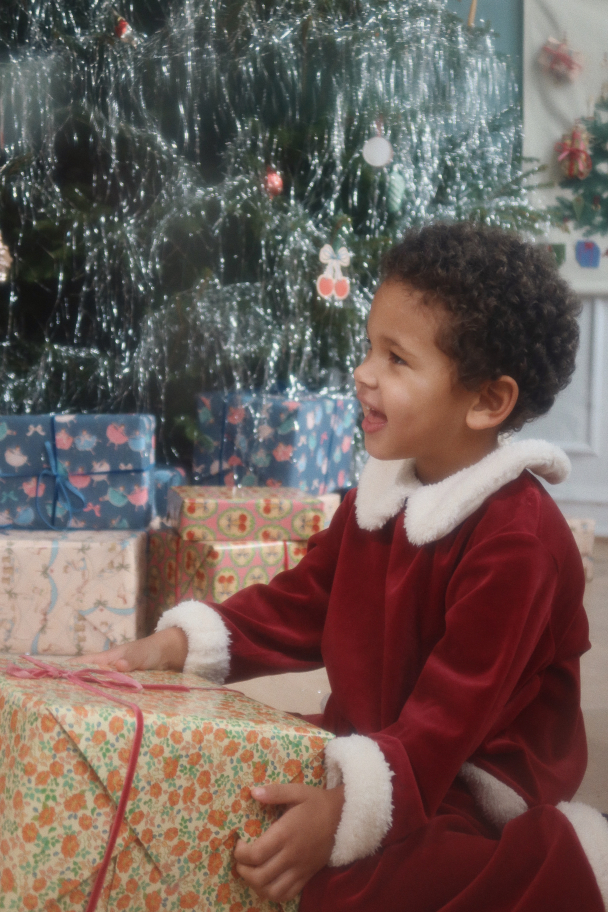 Christmas Set - Red Dahlia - Image 4