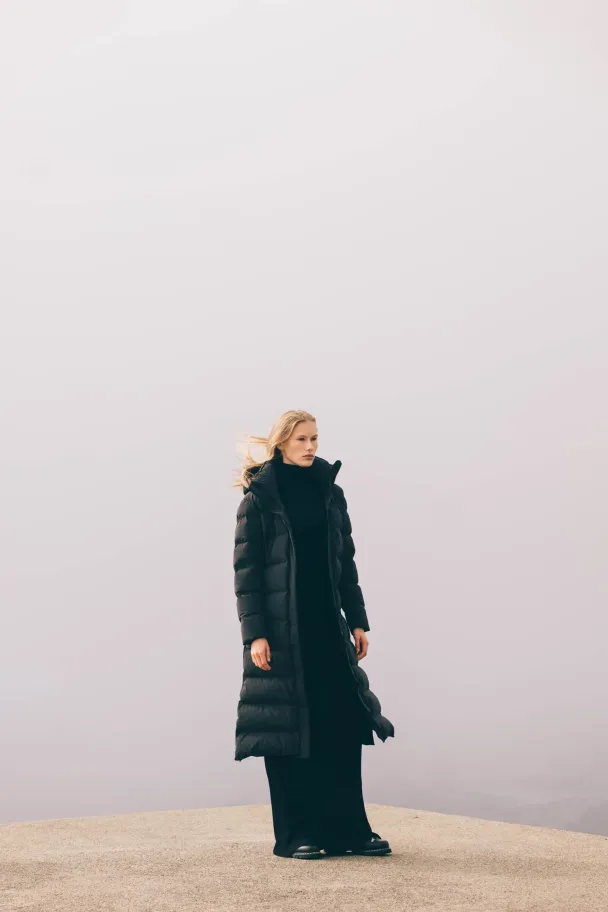 MERIDIAN II APEX - Image 2