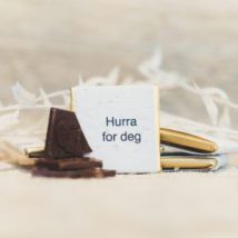 07 hurra for deg.jpg