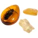 Arkeolog-sett - Rav (Amber)