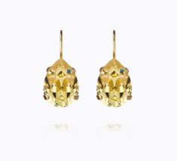 Mini Drop Clasp Earrings - Dark Jonquil 
