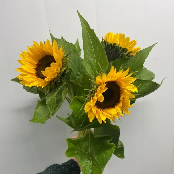 Snitt Blomster  - Image 2