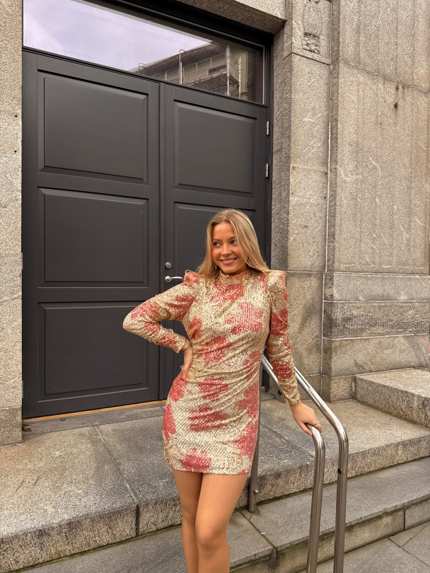 Sequins Touching Dress - Serenadegl - Image 8