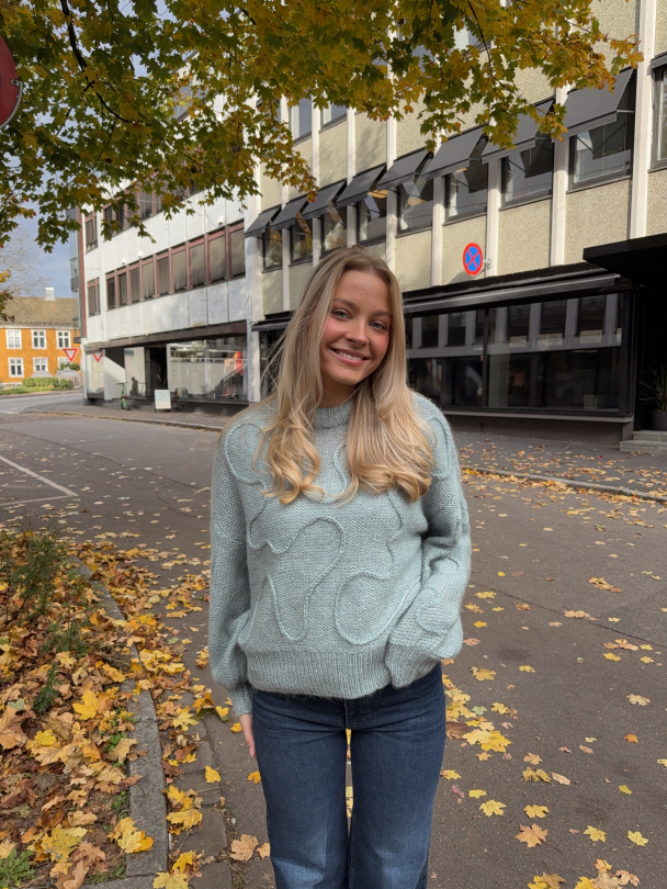 Brida Wool Knit Pullover - Image 5