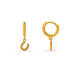 Lucky Horseshoe Hoop