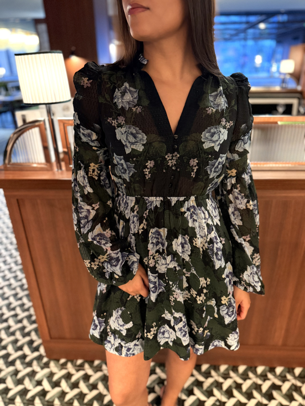 Georgette V-neck Dress - Amadora  - Image 1