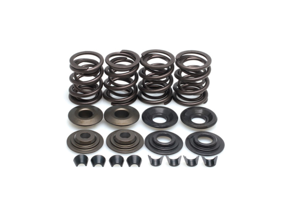 valve spring kit. .600" lift