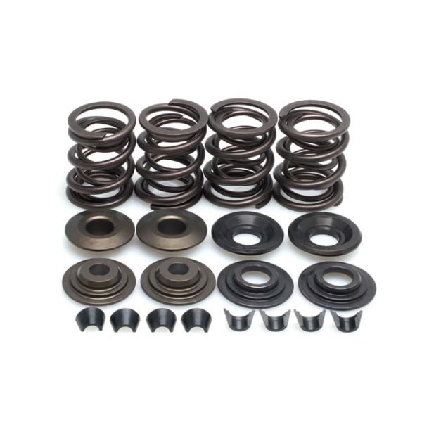 valve spring kit. .600" lift