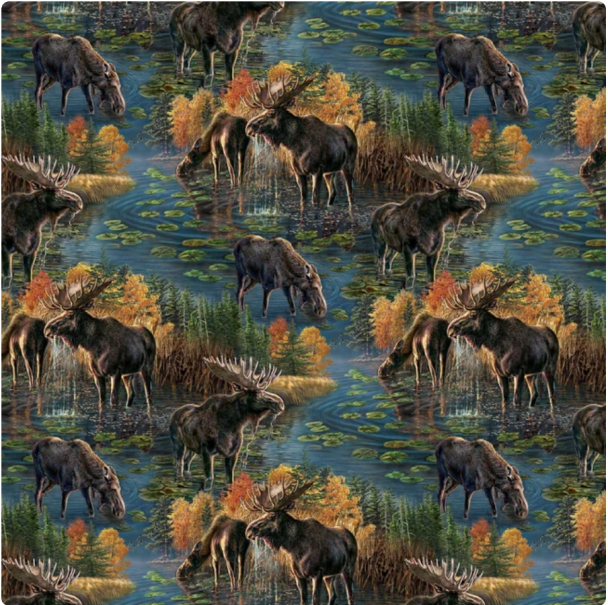 Autumn Woodlands - Naturescapes Blue 