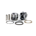 1200cc B.T. piston kit. STD