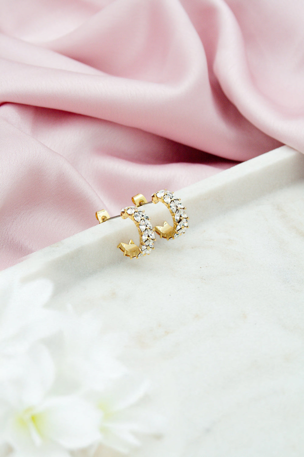 Lorenza Crystal Earrings Clear