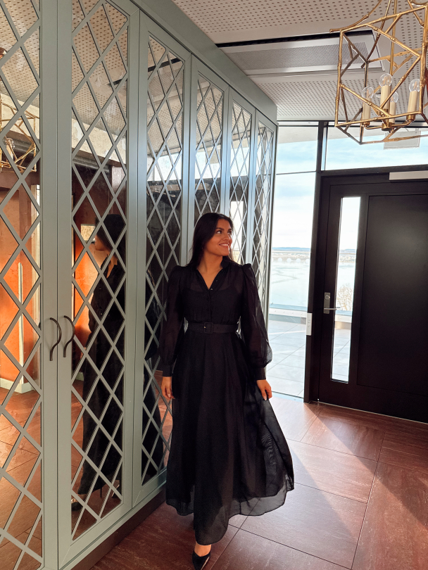 Striped Organza Belt Dress -  Black - Image 3