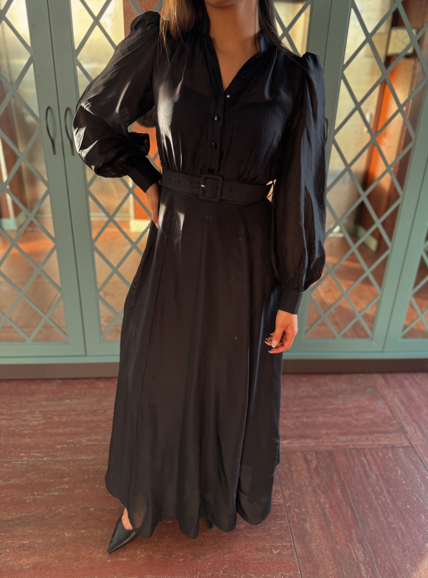 Striped Organza Belt Dress -  Black - Image 1