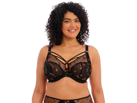 Elomi Sachi Uw Plunge Bra EL4353 BH