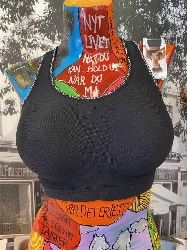 ANITA PanAlp Delta Top Sports Bh 5562 - Image 2