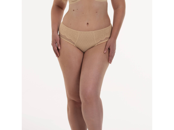 ANITA SELMA High-Waist Briefs 1336