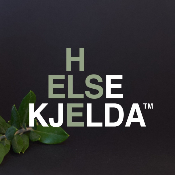 HELSEKJELDA Ingefær Krem 100ml - Image 3